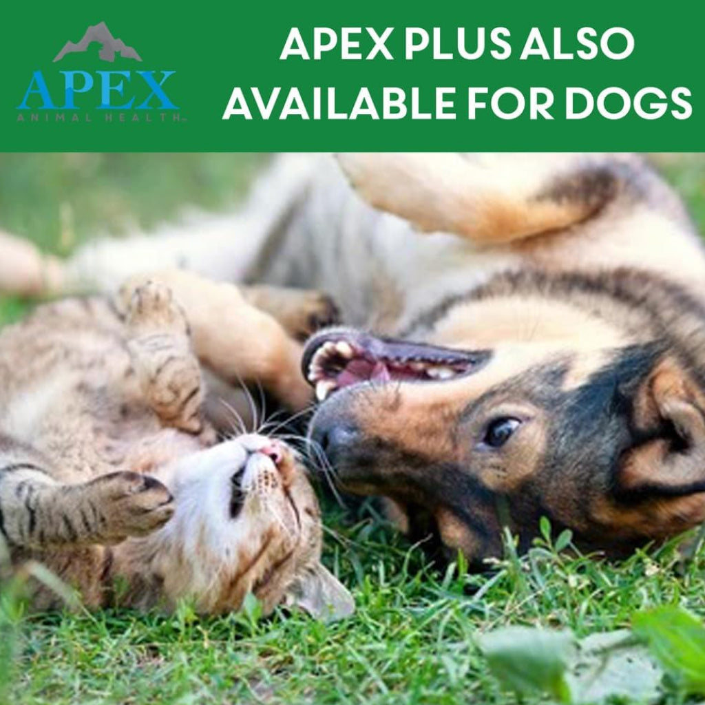 Apex Plus Topical Flea & Tick Prevention for Cats over 1.5 lbs (3 doses)