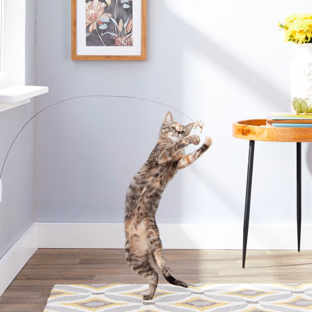 Cat Dancer Deluxe Dancer Toy For Cats