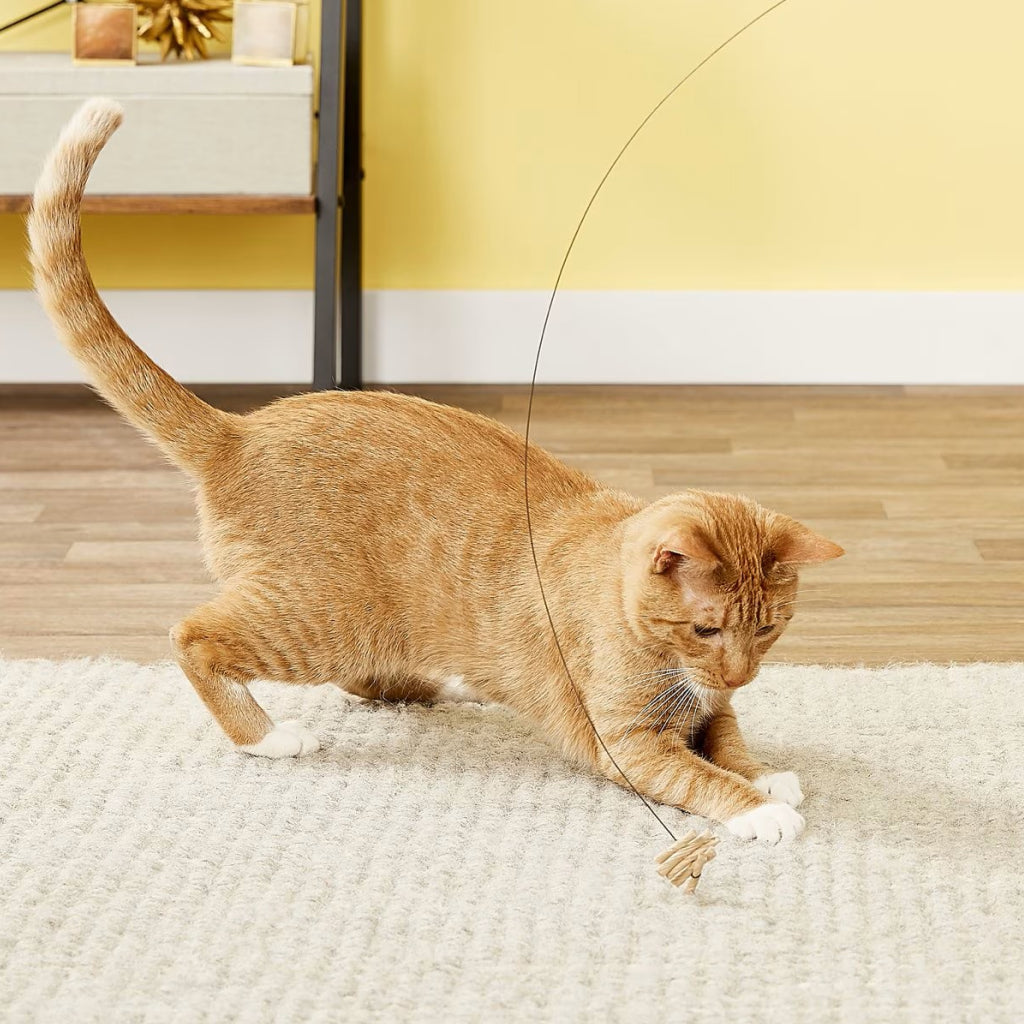 Cat Dancer Original Dancer Cat Interactive Toy