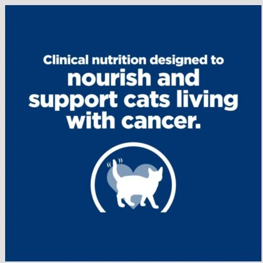 Onc care is designed to nourish and support cats living with cancer