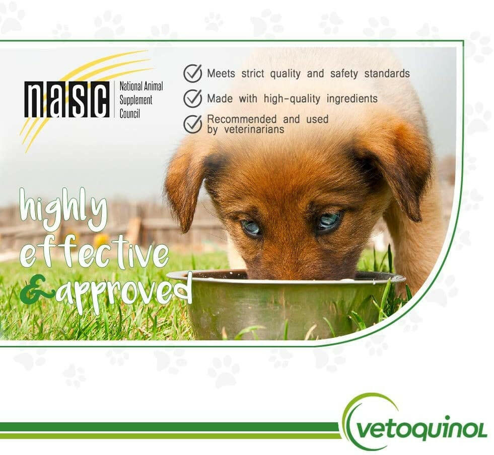 methigel for dogs and cats