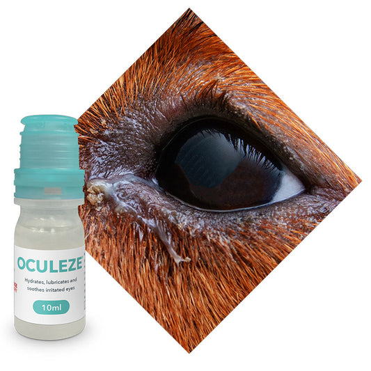 Oculeze eye drop bottle with a close-up of an eye on a white background