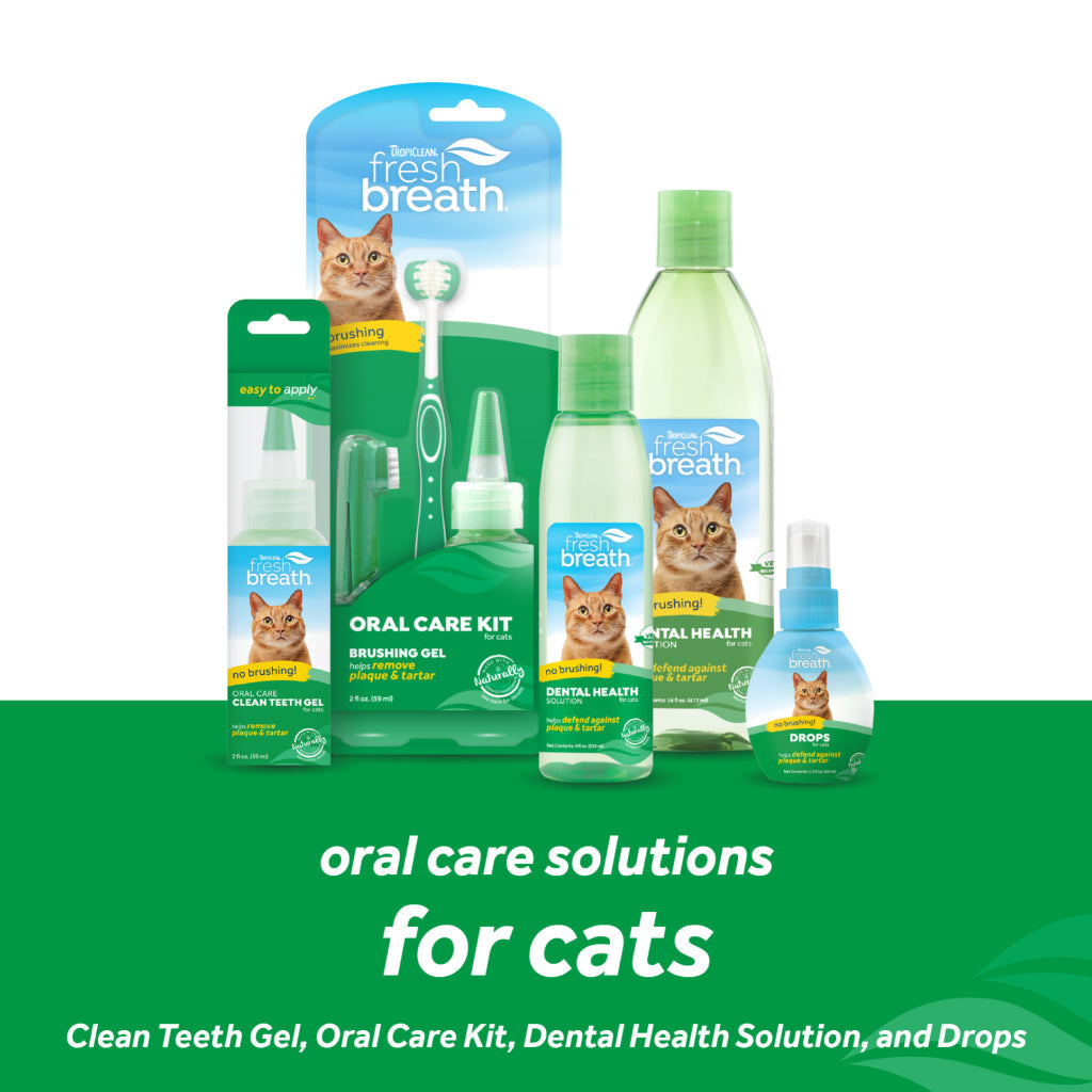 TropiClean Fresh Breath Dental Water Additive Concentrate- Drops for Cats (2oz)