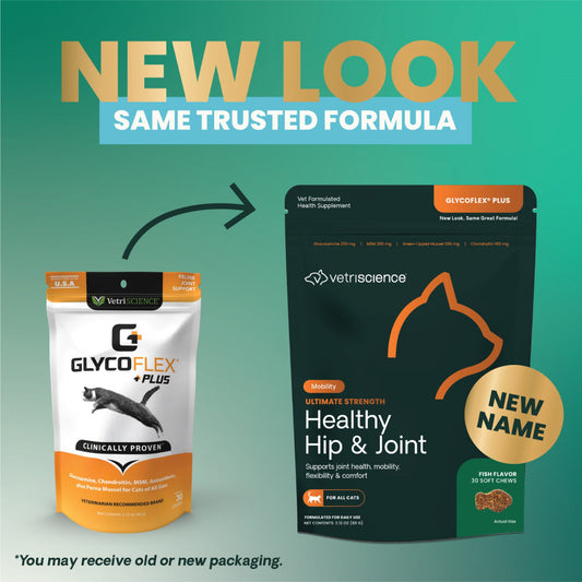 Ultimate Strength Healthy Hip & Joint Chews for Cats