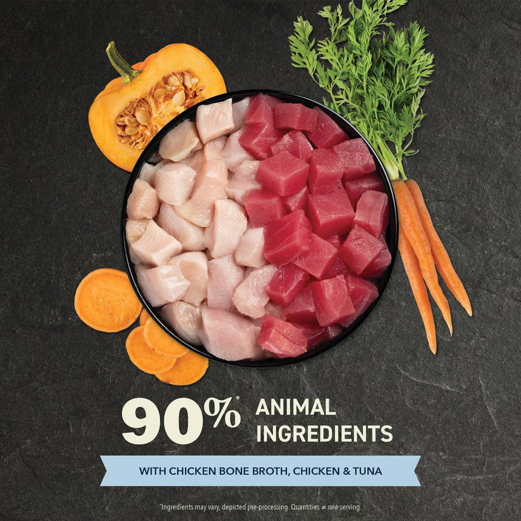 Pet food bowl with chicken, tuna, and vegetables on a dark background