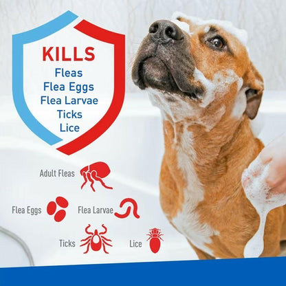 Adams Plus Flea and Tick Shampoo with Precor For Dogs & Cats (12 oz)