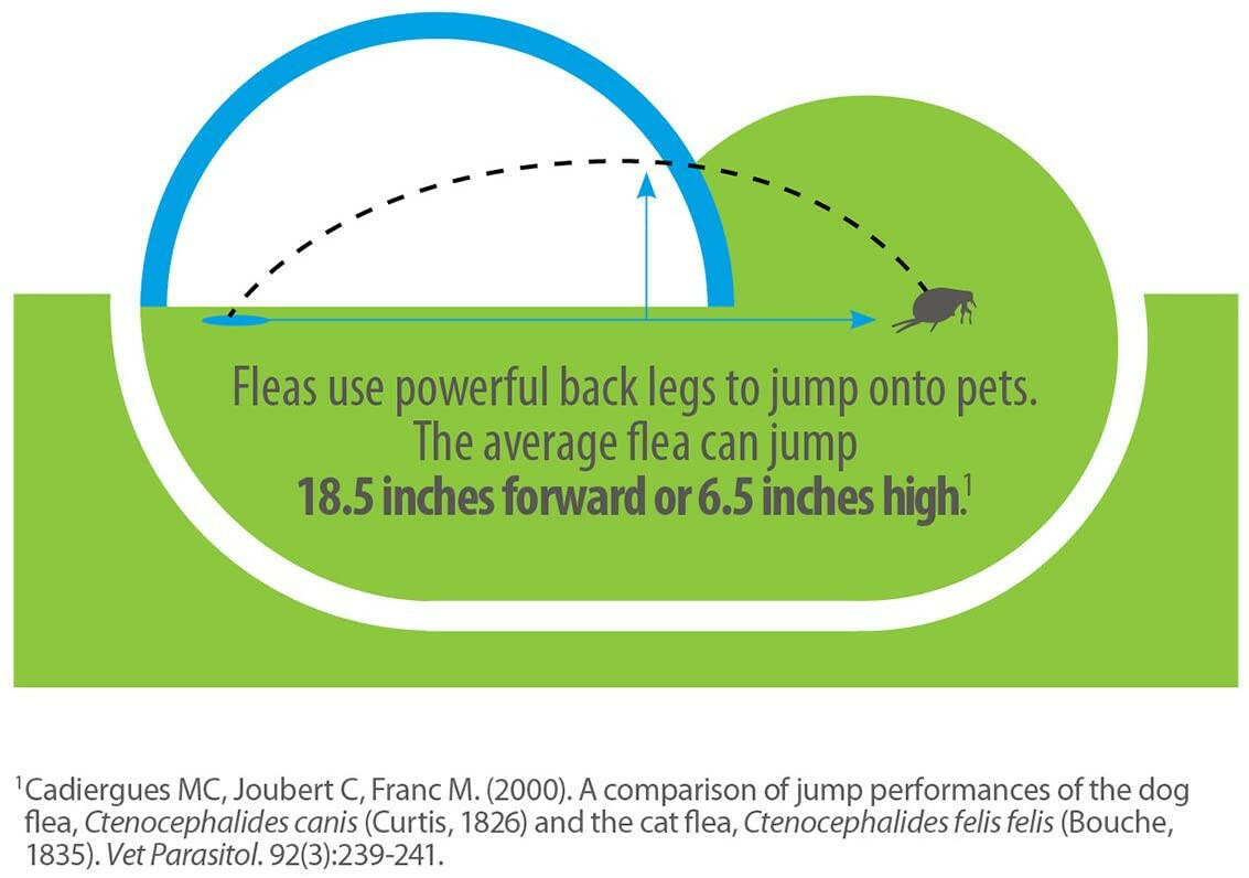 Advantage Flea Treatment Spray for Cats (8 oz)