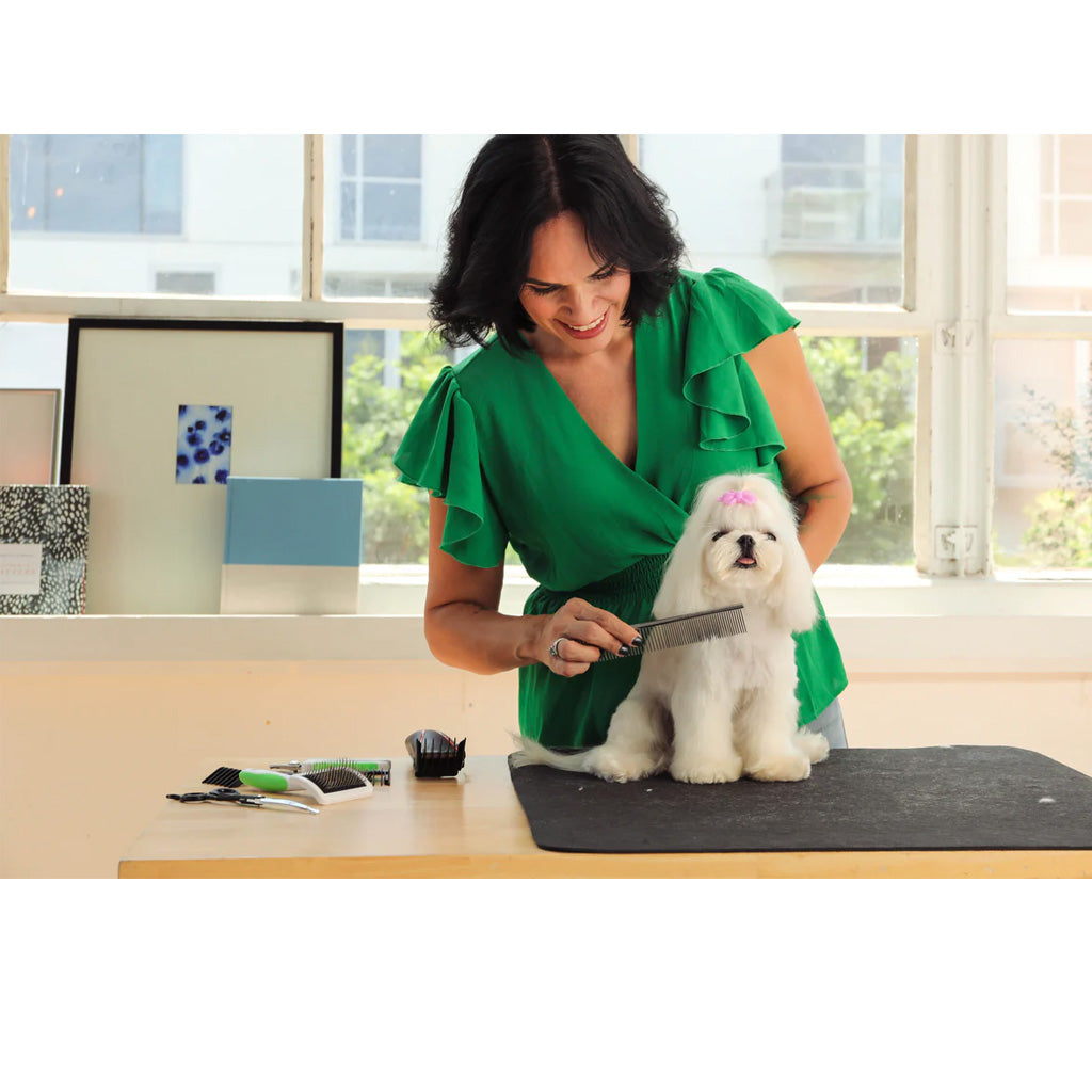 Woman grooming a small white dog on a table with a window in the background