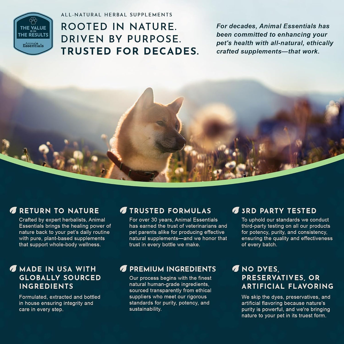 Animal Essentials Herbal Tonic Nettle Allergy Support for Dogs & Cats - Dog Supplements & Vitamins 3