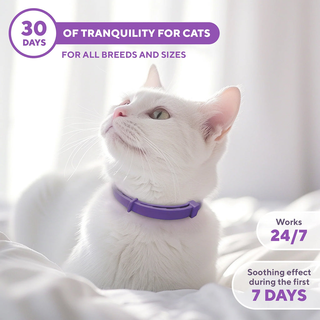 Beloved Pets Relaxiv Pheramone Improved DE-Stress Formula Calming Collar for Cats