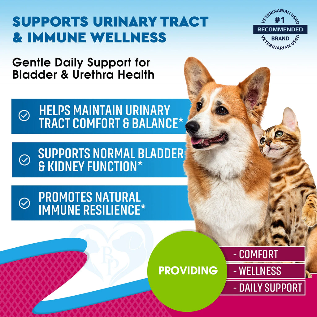 Beloved Pets Urinary Tract Support with Cranberry for Dogs & Cats (2 oz)