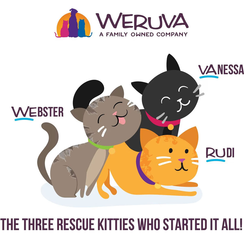 Illustration of three cartoon cats with names Webster, Vanessa, and Rudi, and Weruva logo above.