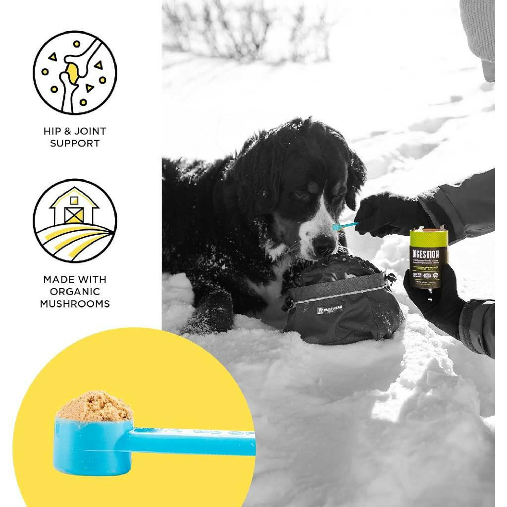 Bixbi Joint Support Powdered Mushroom Supplement For Dogs & Cats (60 g)