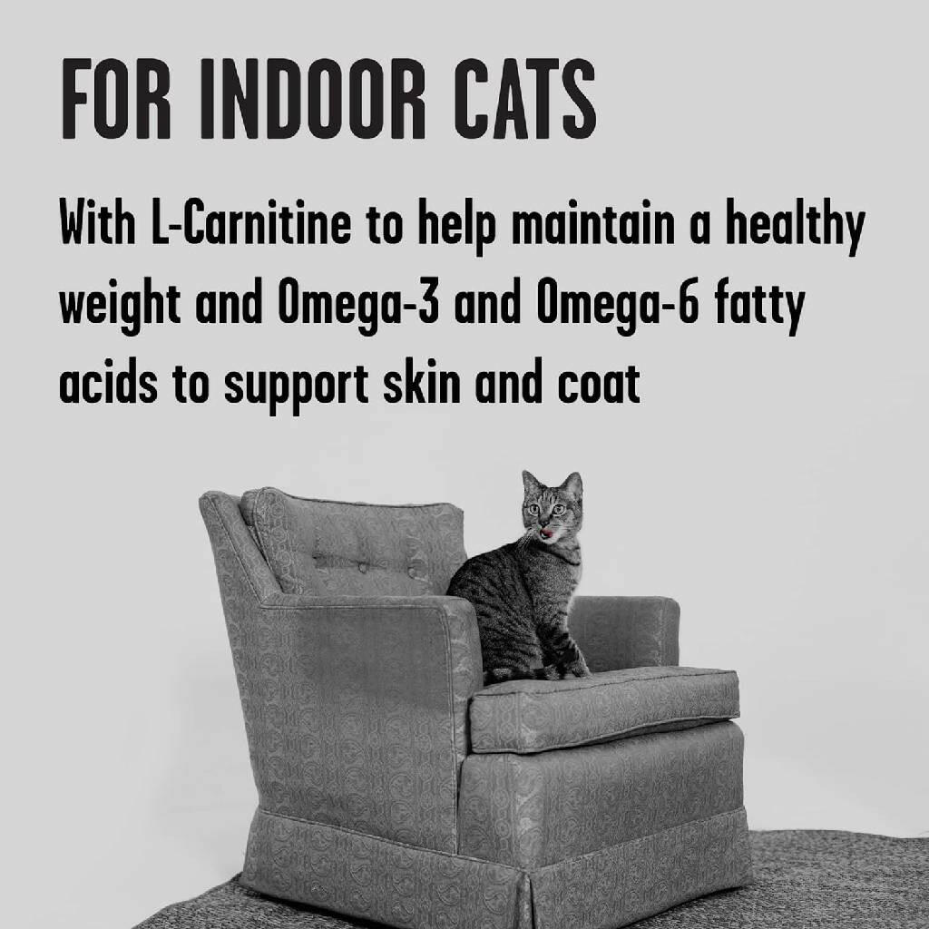 Bixbi Rawbble Indoor Cat Health Chicken & Salmon Recipe Raw Coated Dry Cat Food (10 lb)