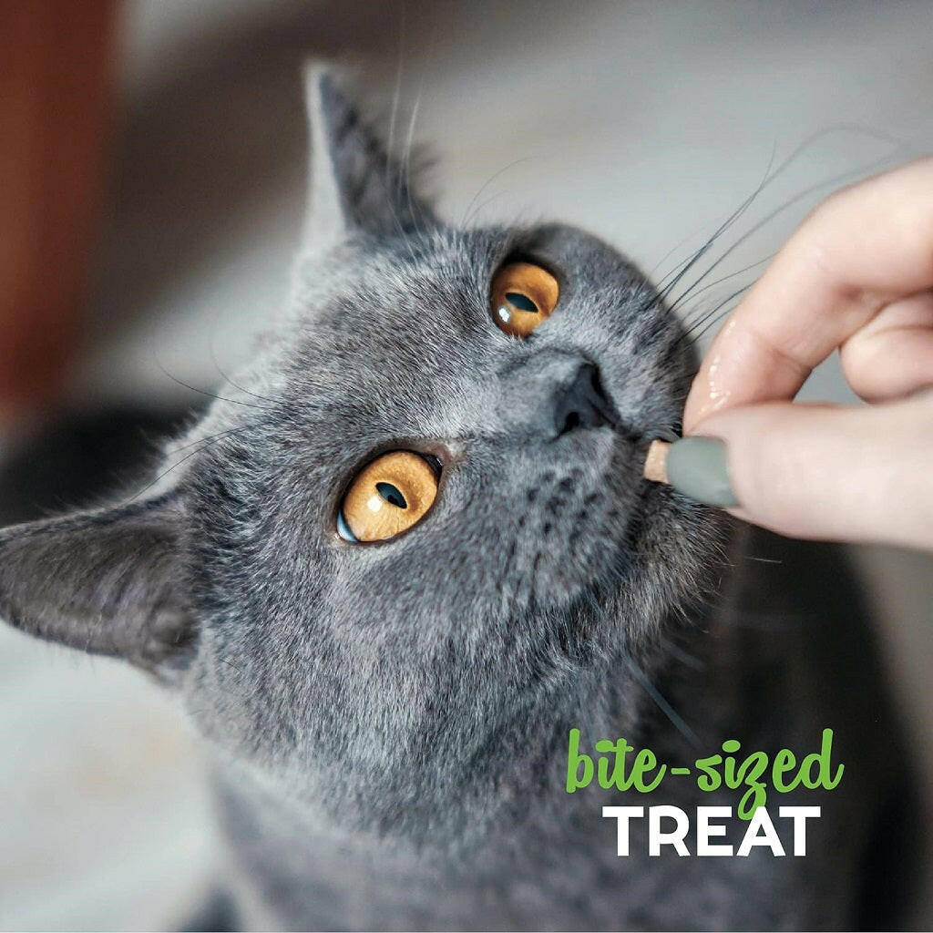 Buddy Biscuits Grain Free Cat Treats Tender Chicken (3 oz)