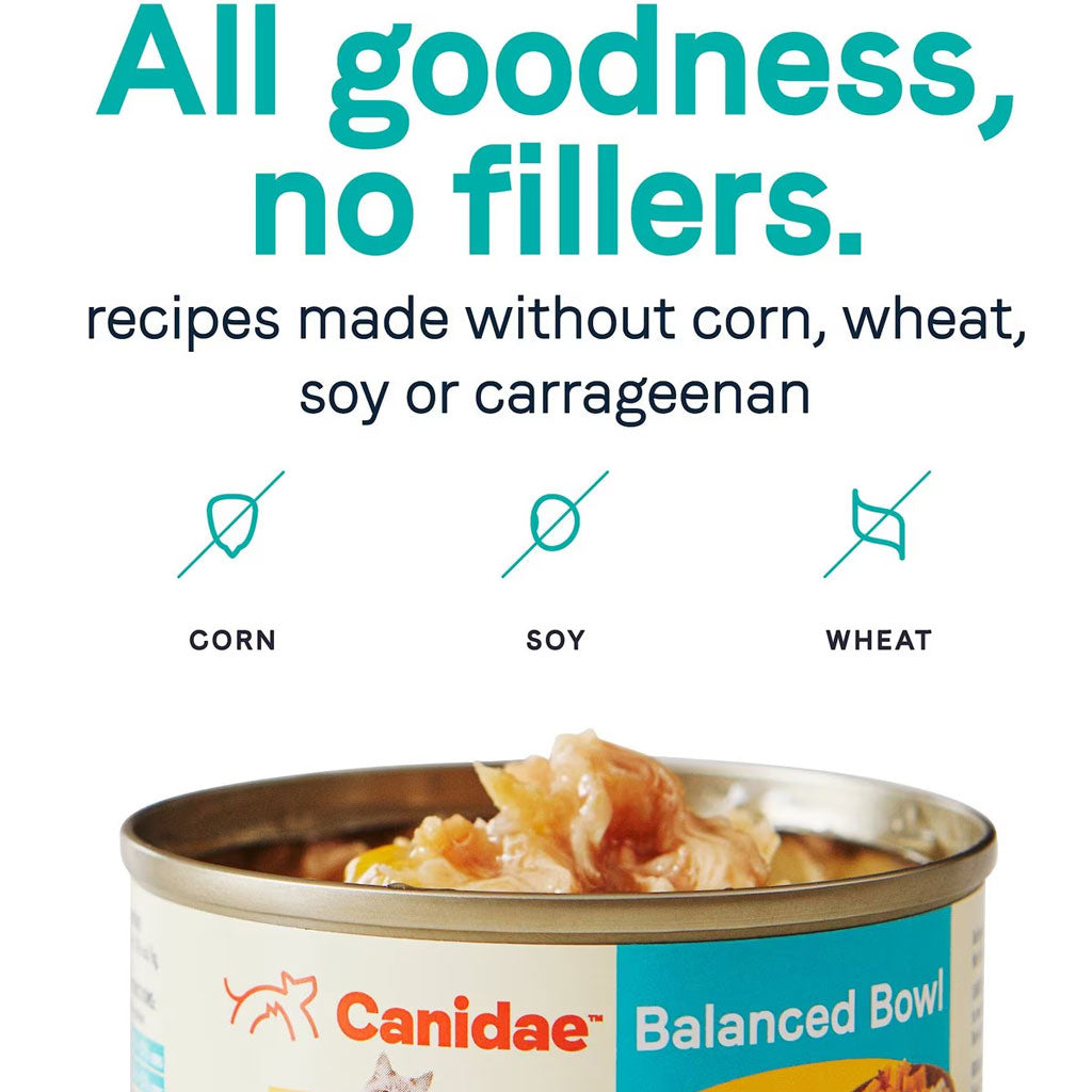 Canidae Balanced Bowl cat food can with text about ingredient-free recipes on a white background