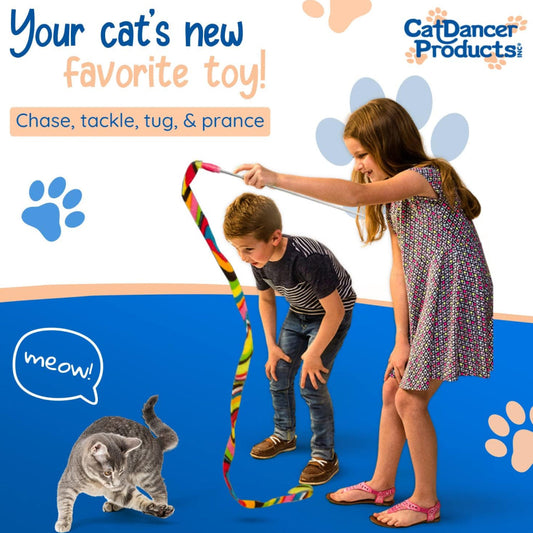 Cat Dancer Charmer Toy For Cat