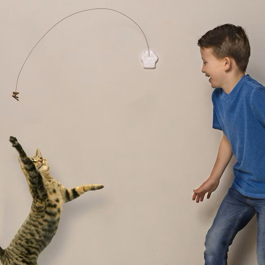 Cat Dancer Deluxe Dancer Toy For Cats