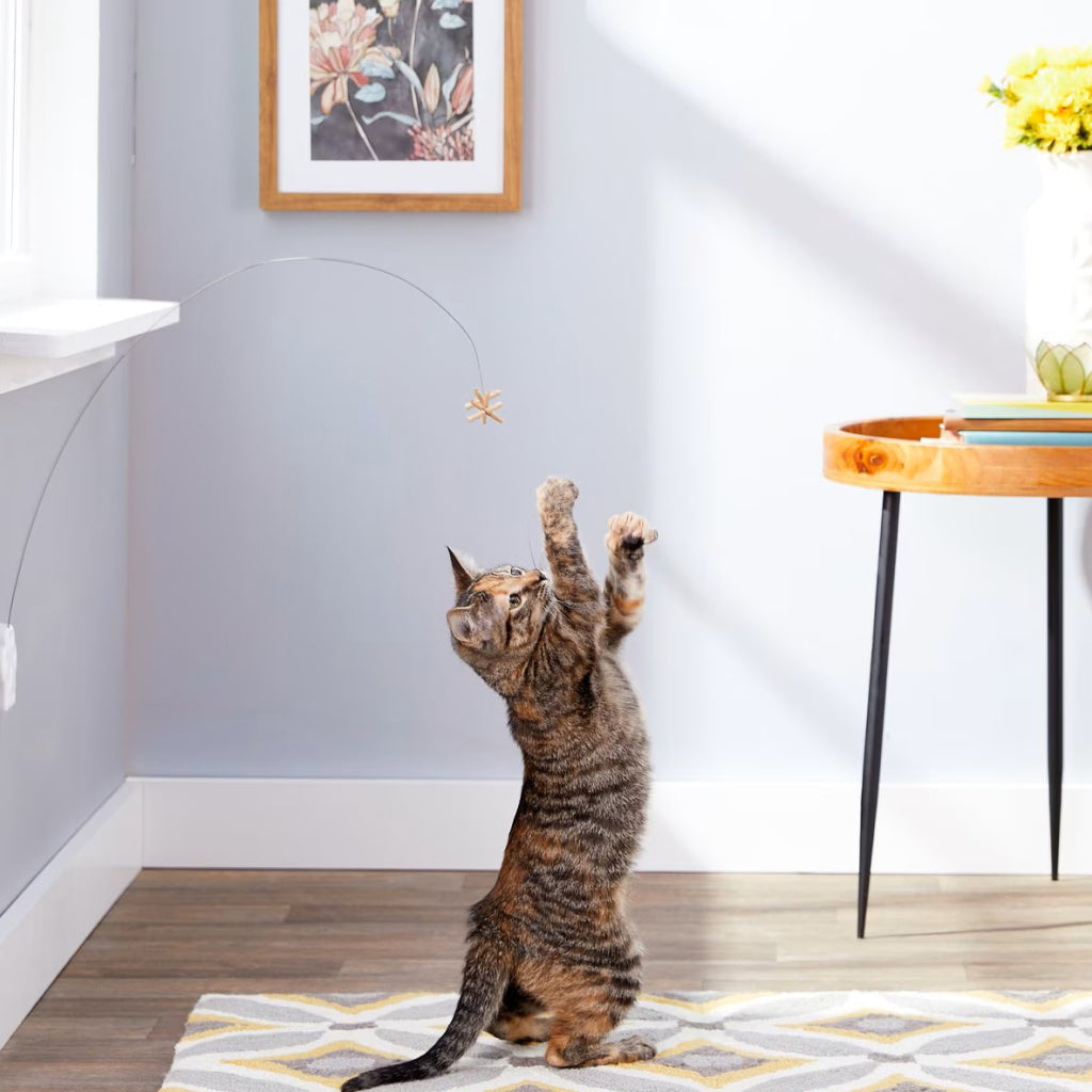 Cat Dancer Deluxe Dancer Toy For Cats