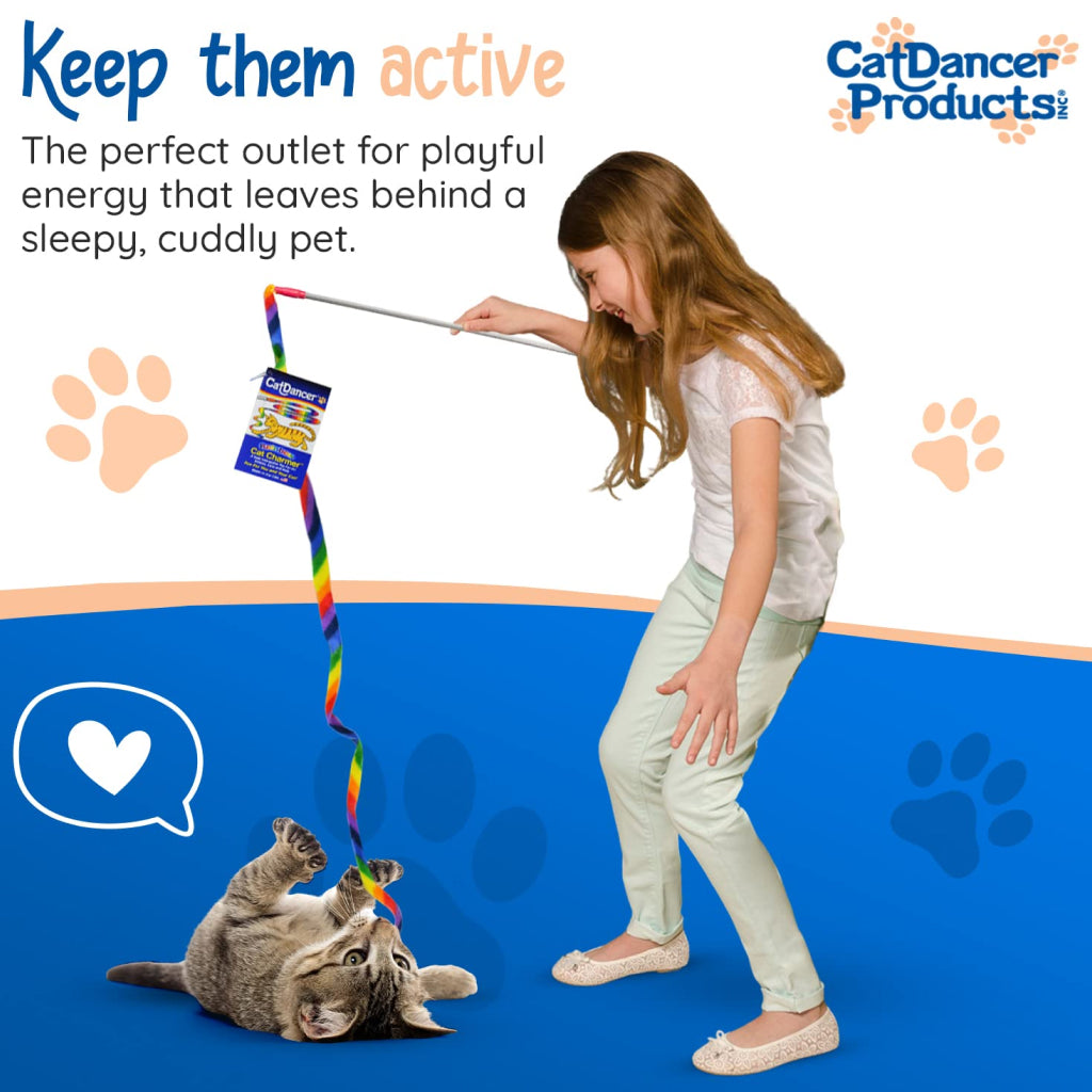 Cat Dancer Rainbow Charmer Toy For Cat