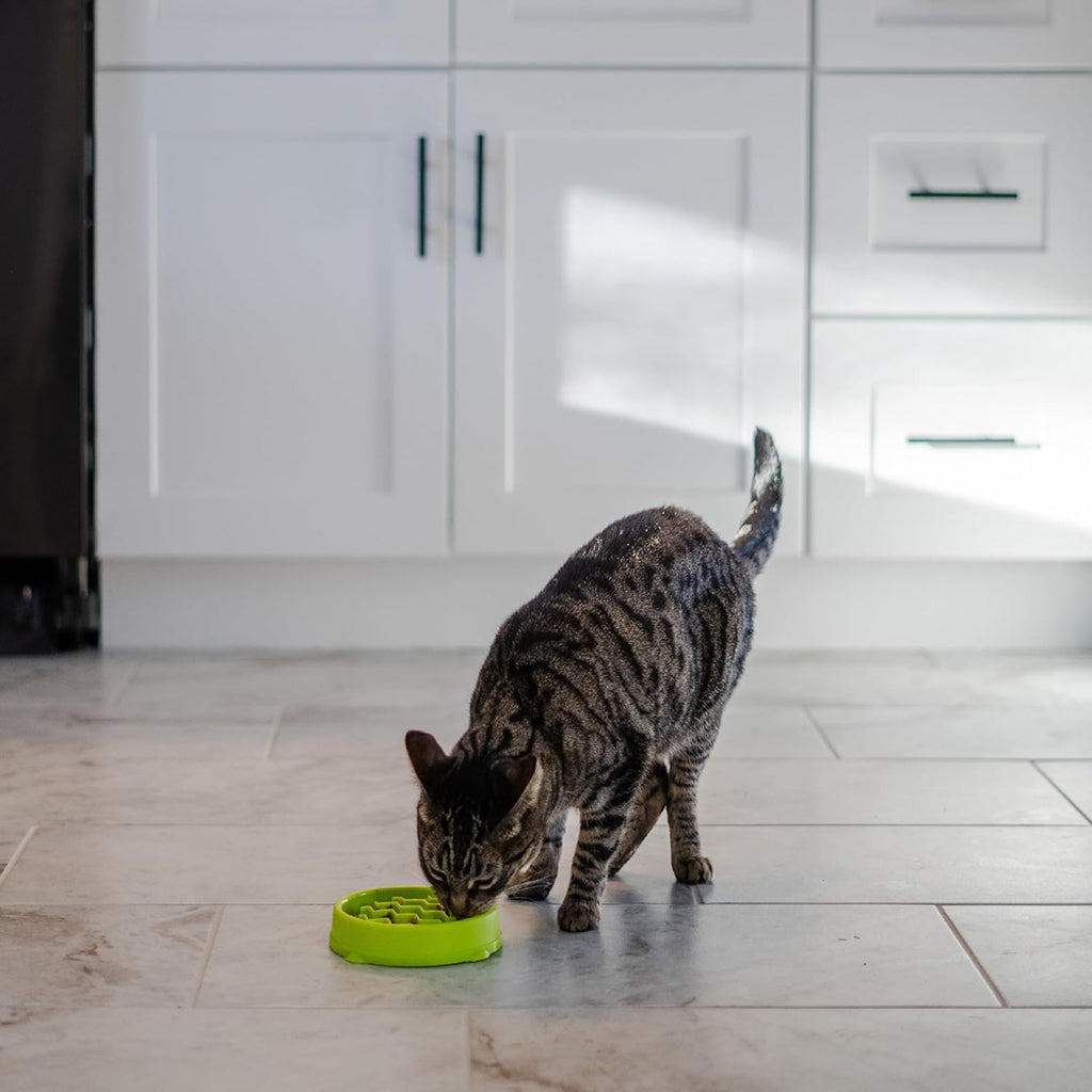 Catstages Kitty Slow Feeder-Green