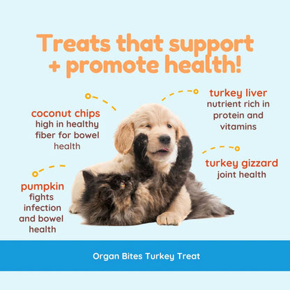 Two puppies with text about treats for health on a blue background