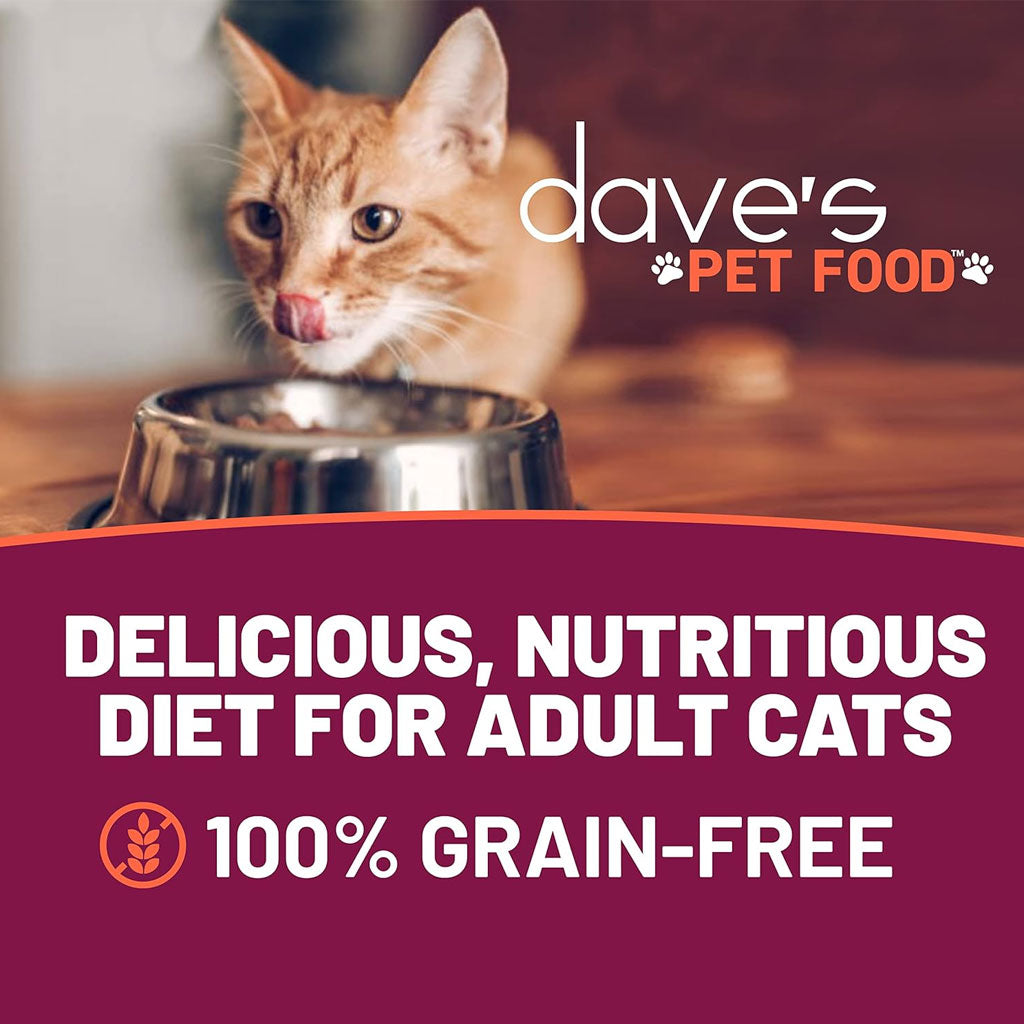 Cat looking into a bowl with 'dave's PET FOOD' branding and promotional text.