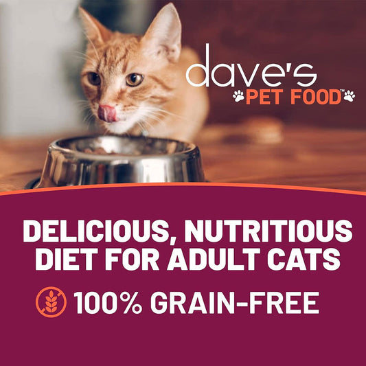 Cat looking into a bowl with 'dave's PET FOOD' branding and promotional text.