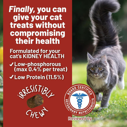 Dave's Pet Food Renal-Friendly Sweet Potato Recipe Treats For Dog (3 oz)