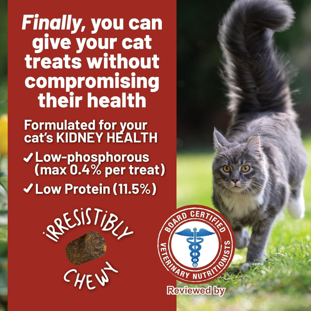 Dave's Pet Food Renal-Friendly Sweet Potato Recipe Treats For Dog (3 oz)