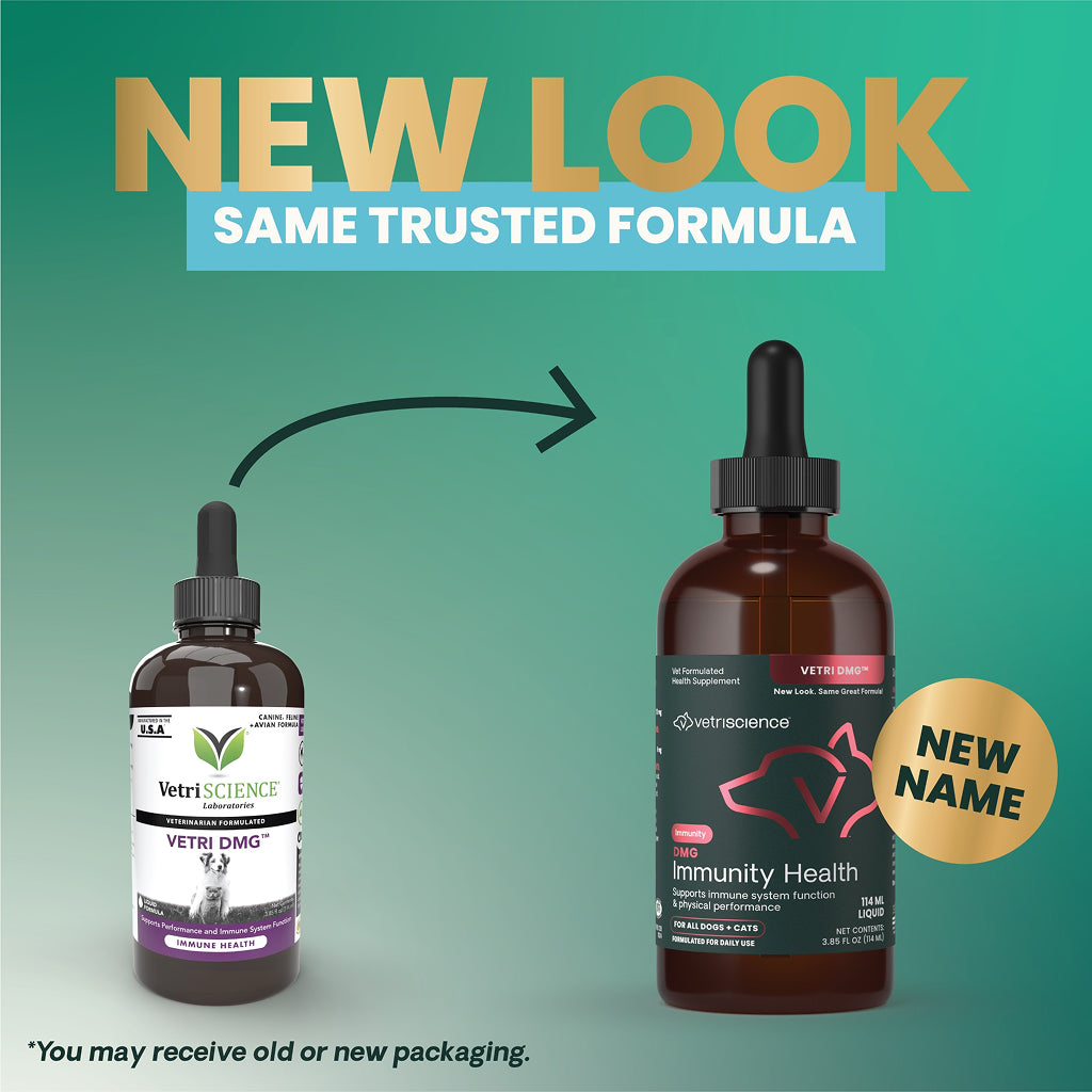 DMG Immunity Health 114 ml Liquid for Cats and Dogs