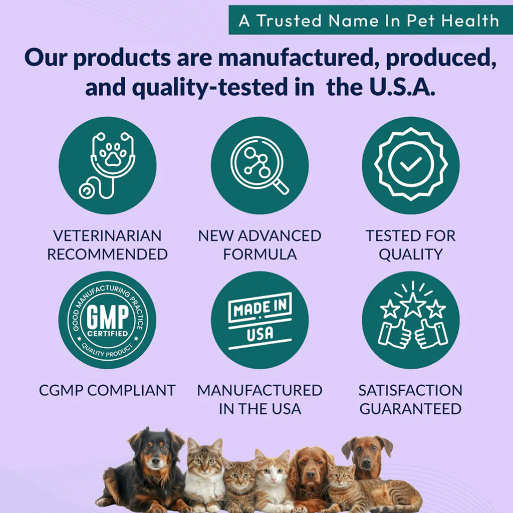 Advertisement for pet health products with icons and text on a purple background