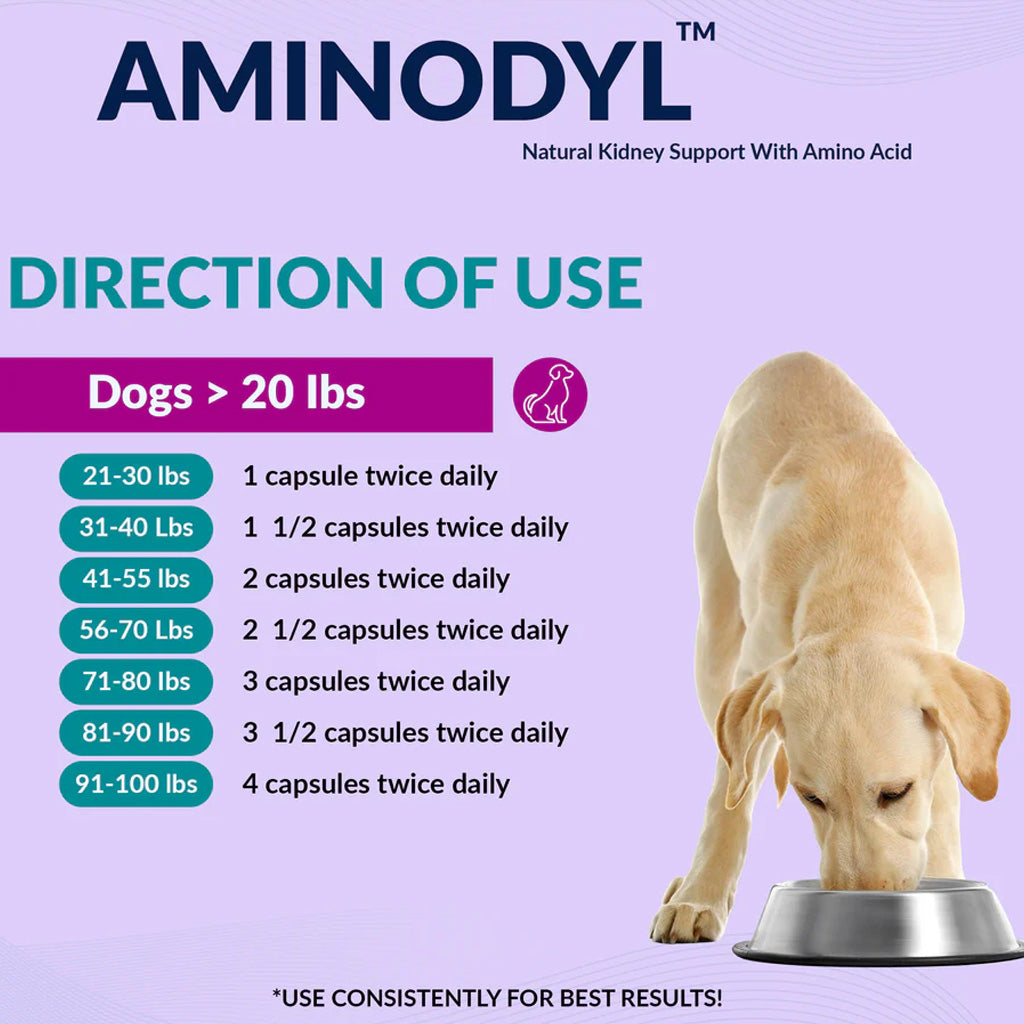 Aminodyl natural kidney support for dogs with dosage chart on a purple background