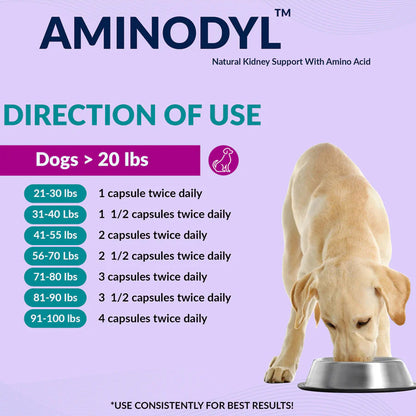 Aminodyl natural kidney support for dogs with dosage chart on a purple background