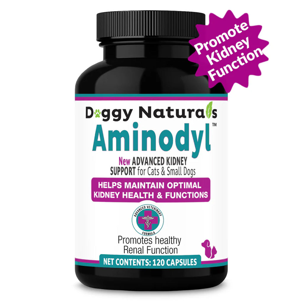 Doggy Naturals Aminodyl supplement bottle for cats and small dogs on a white background