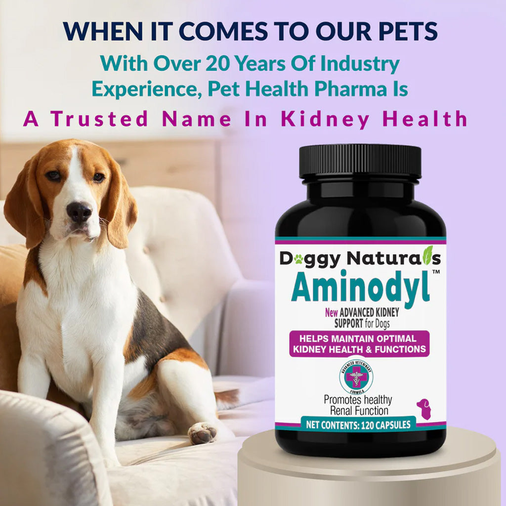 Doggy Naturals Aminodyl supplement bottle with a dog on a couch, emphasizing kidney health support.