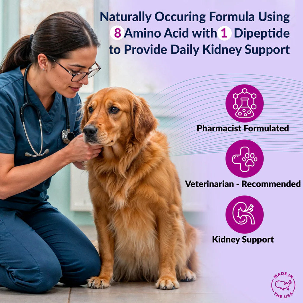 Veterinarian examining a dog with product information about kidney support on a purple background