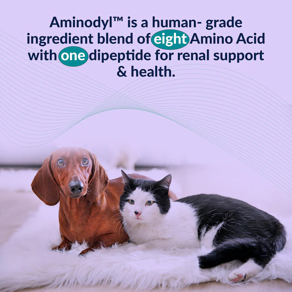 Dog and cat lying on a white surface with text about Aminodyl product.
