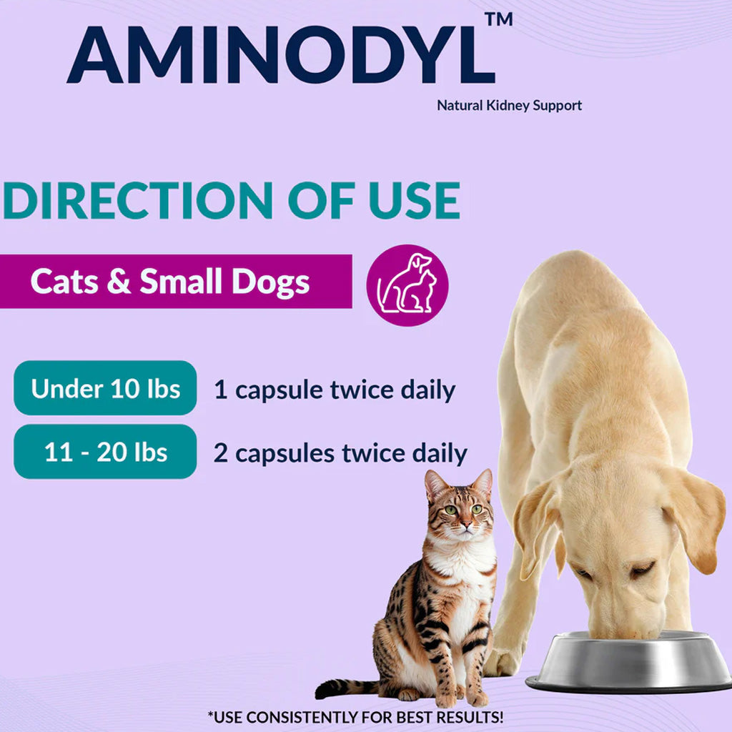 Aminodyl product information for cats and small dogs with directions on a purple background.