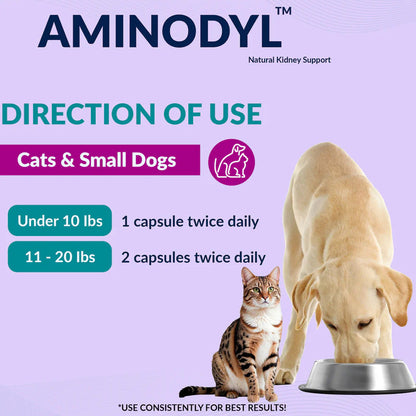 Aminodyl product information for cats and small dogs with directions on a purple background.