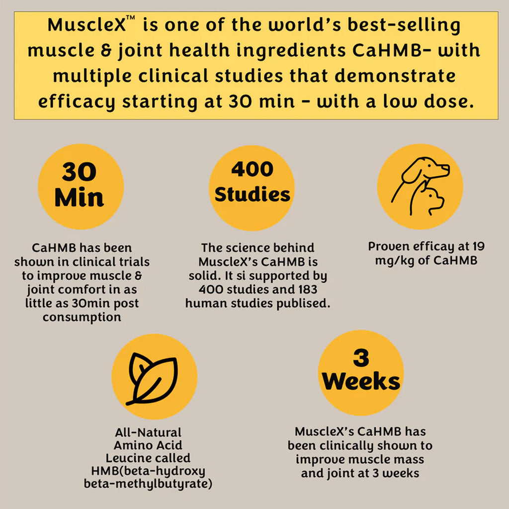 Promotional graphic for MuscleX, highlighting its benefits and clinical studies on a beige background.