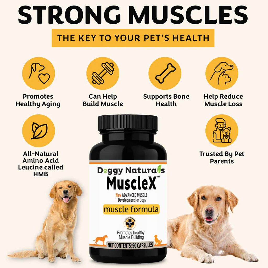 Doggy Natura's MuscleX muscle formula supplement for dogs with images of two dogs and listed benefits.
