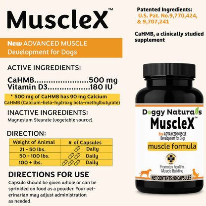 MuscleX supplement bottle for dogs with label details on a white background