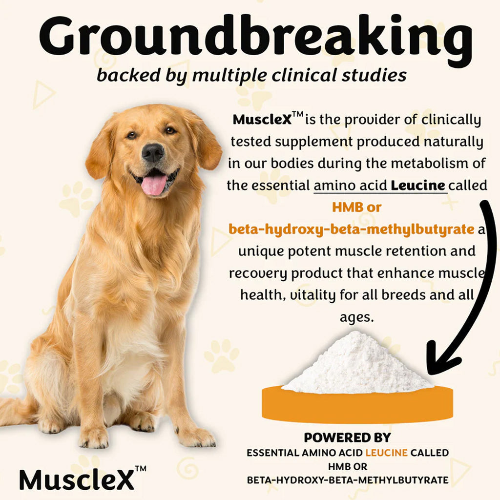 Dog with MuscleX supplement powder and text about clinical studies and amino acids
