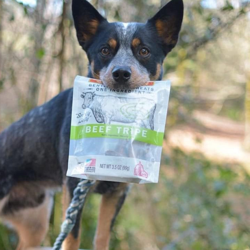 Evanger's Nothing but Natural Gently Air Dried Beef Tripe Dog & Cat Treats (3.5 oz)