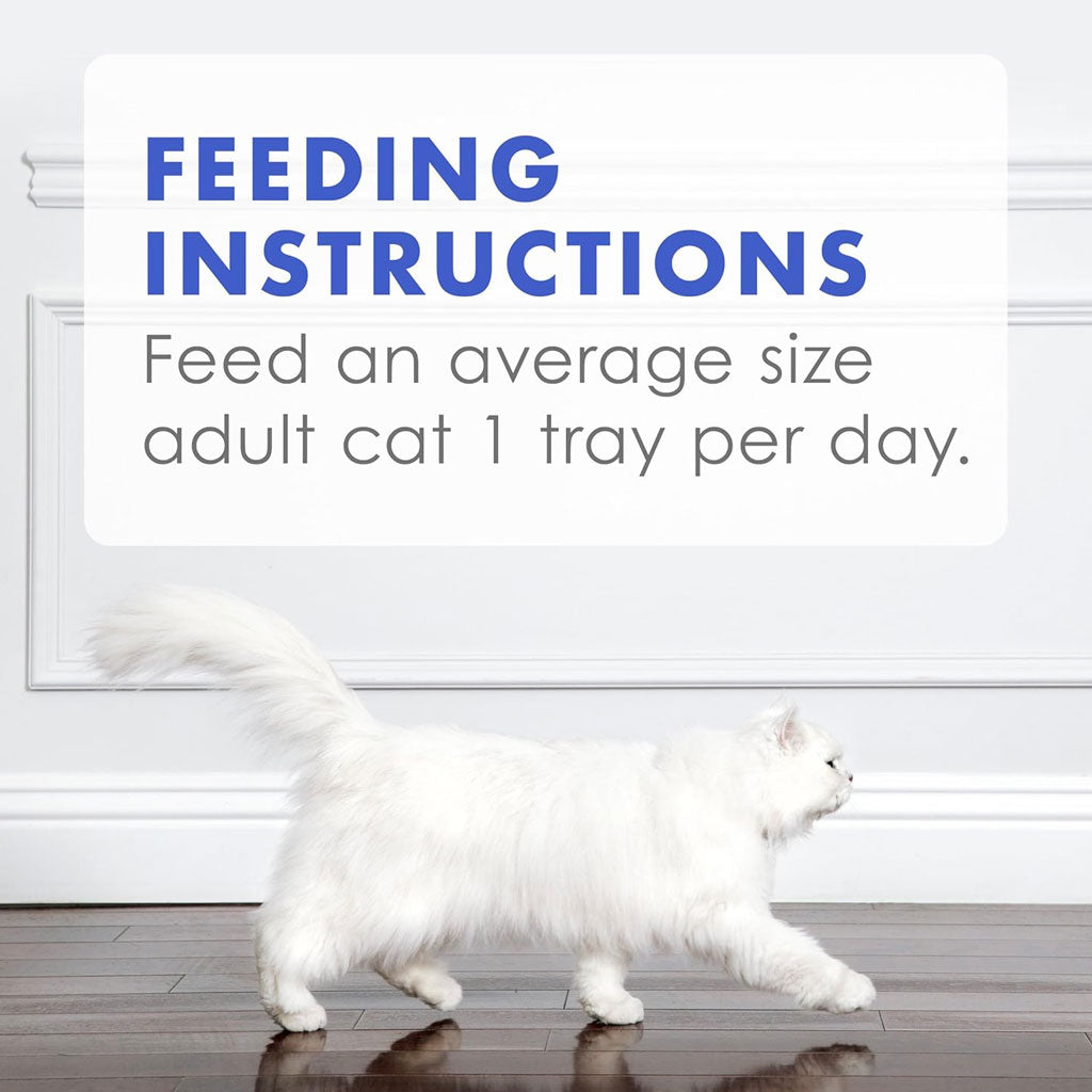 Fancy Feast Appetizers Oceanfish with a Shrimp Topper Lickable Cat Treats