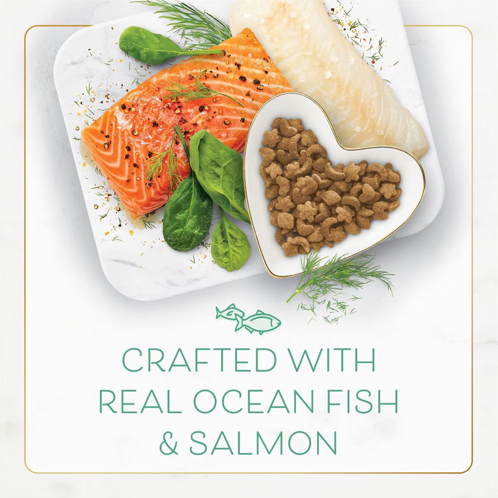 Fancy Feast Gourmet Ocean Fish & Salmon & Accents of Garden Greens Dry Cat Food