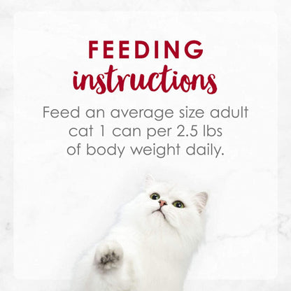 Fancy Feast Medleys Salmon Primavera in Sauce Wet Cat Food
