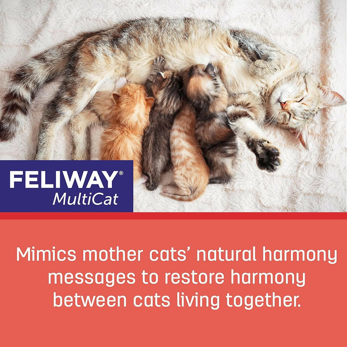 Feliway MultiCat Diffuser Refill for Cats