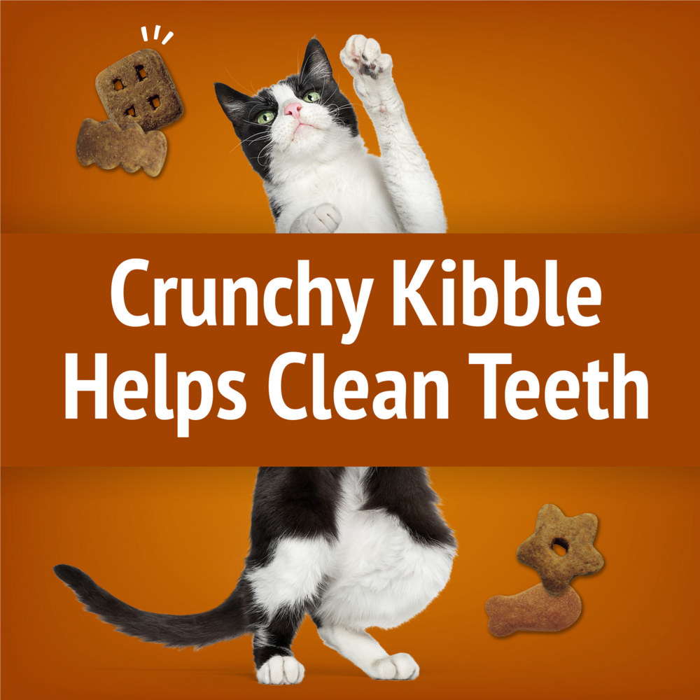 Friskies Party Mix Chicken Lovers Crunch Cat Treats
